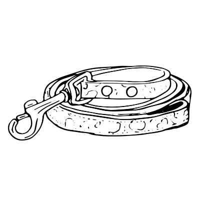 Leashes
